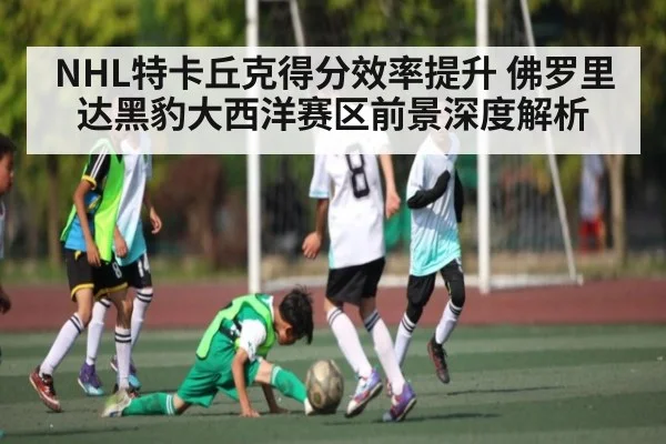 NHL特卡丘克得分效率提升 佛罗里达黑豹大西洋赛区前景深度解析 | NG28
